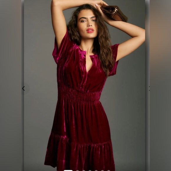 Anthropologie Somerset Velvet Dress - Picture 4 of 11